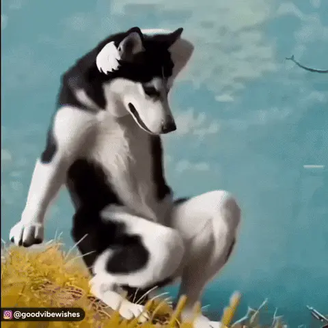 1779329221488.webp