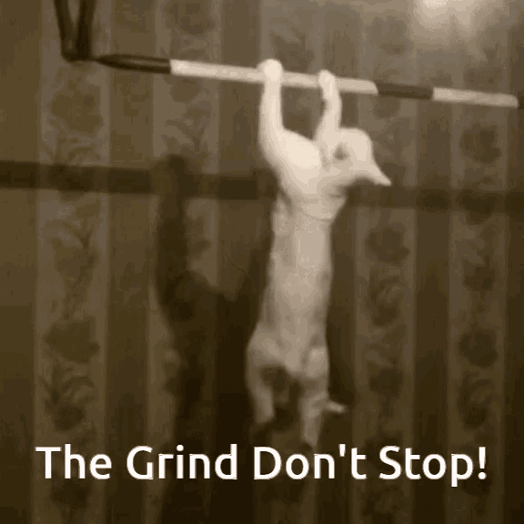 1779345871613.gif