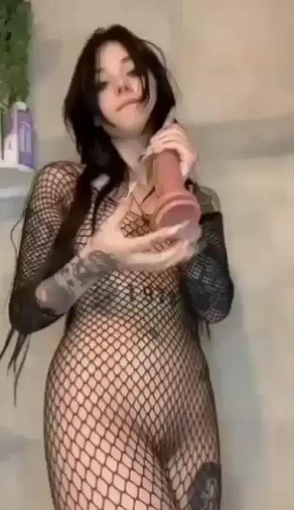 1779592018306.webp