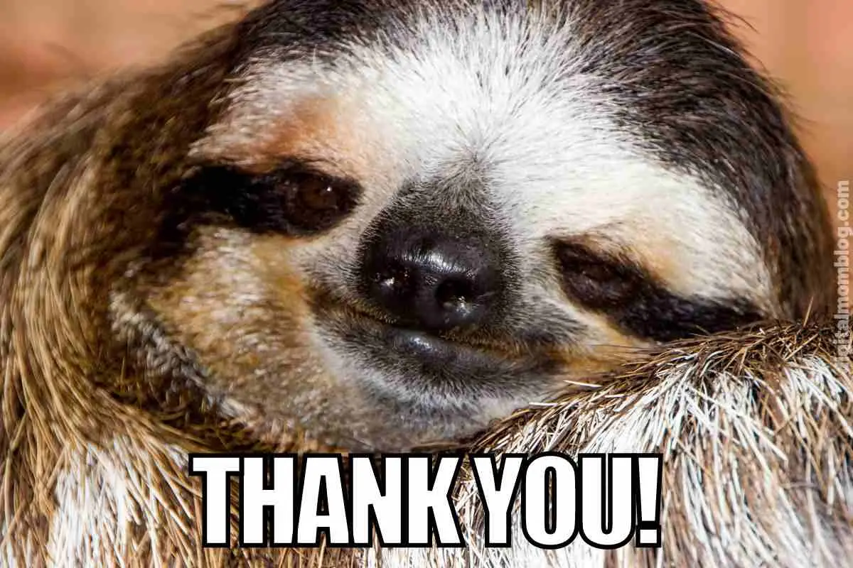 thank-you-funny-meme.webp