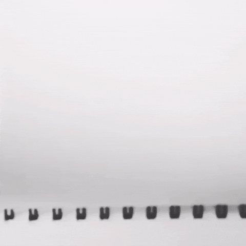 giphy-3.gif