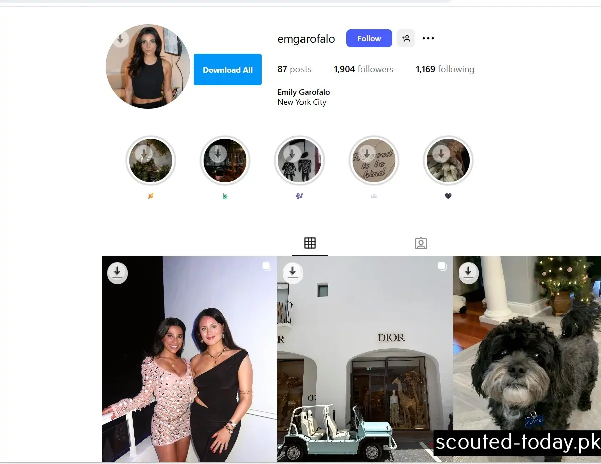 Screenshot 2025-08-24 150946.webp