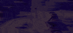 ezgif-505ad58b85cf00ed.gif