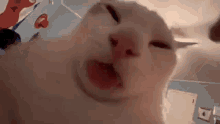 1000328649.gif