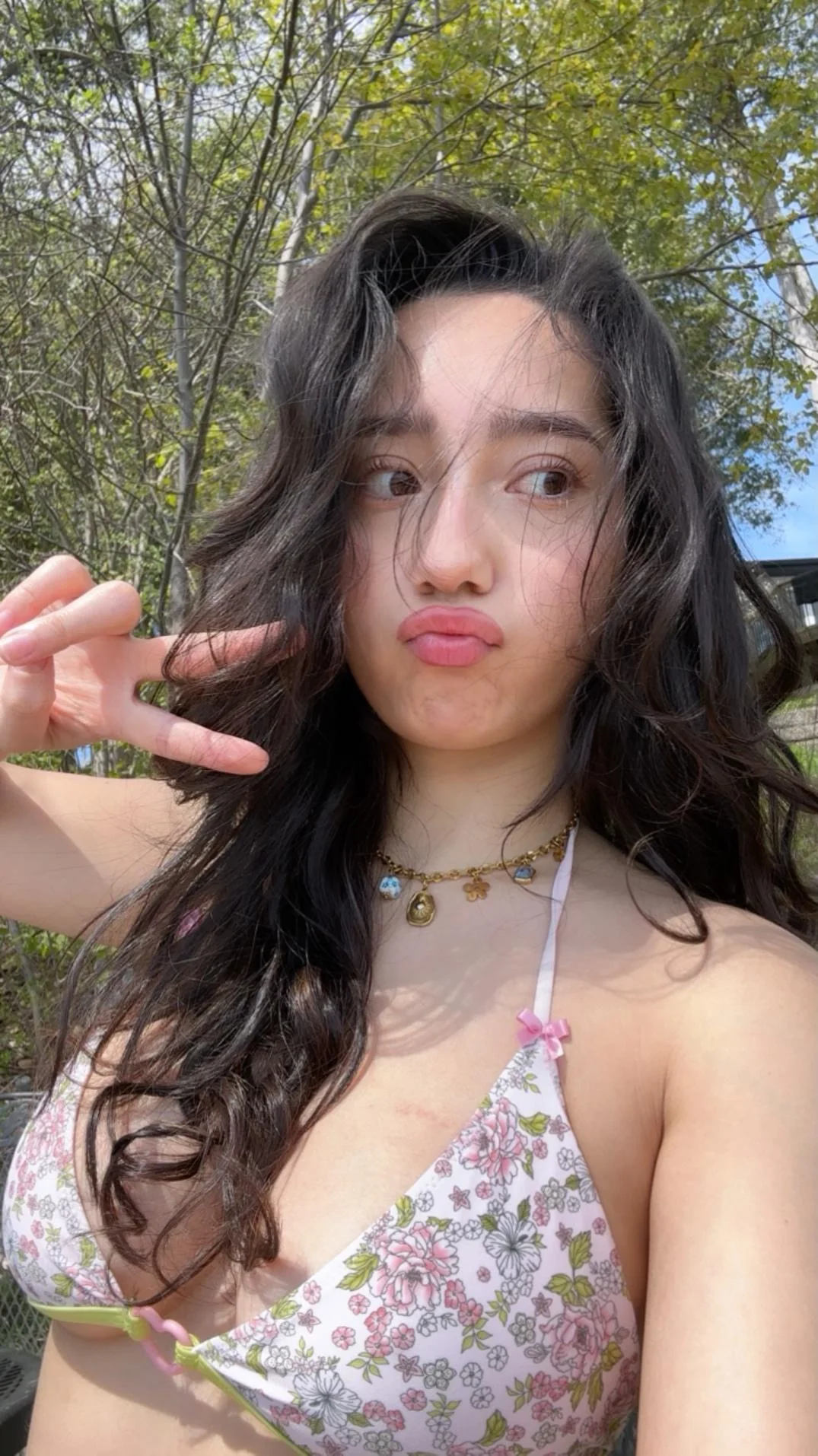 44617.webp