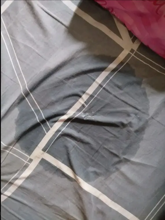 Screenshot 2026-06-17 132246.webp