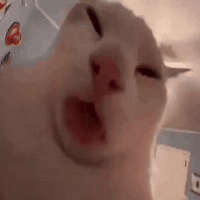 lick.gif