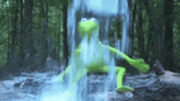 1000138247.gif