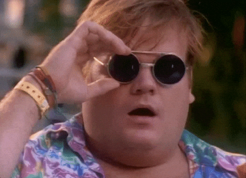 giphy (1).gif