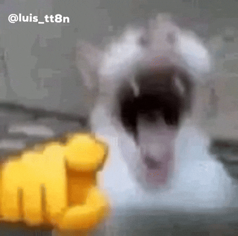 1000753796.gif