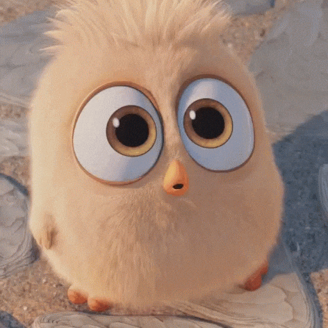 d68K4eApIUez3rkmcV (1).gif
