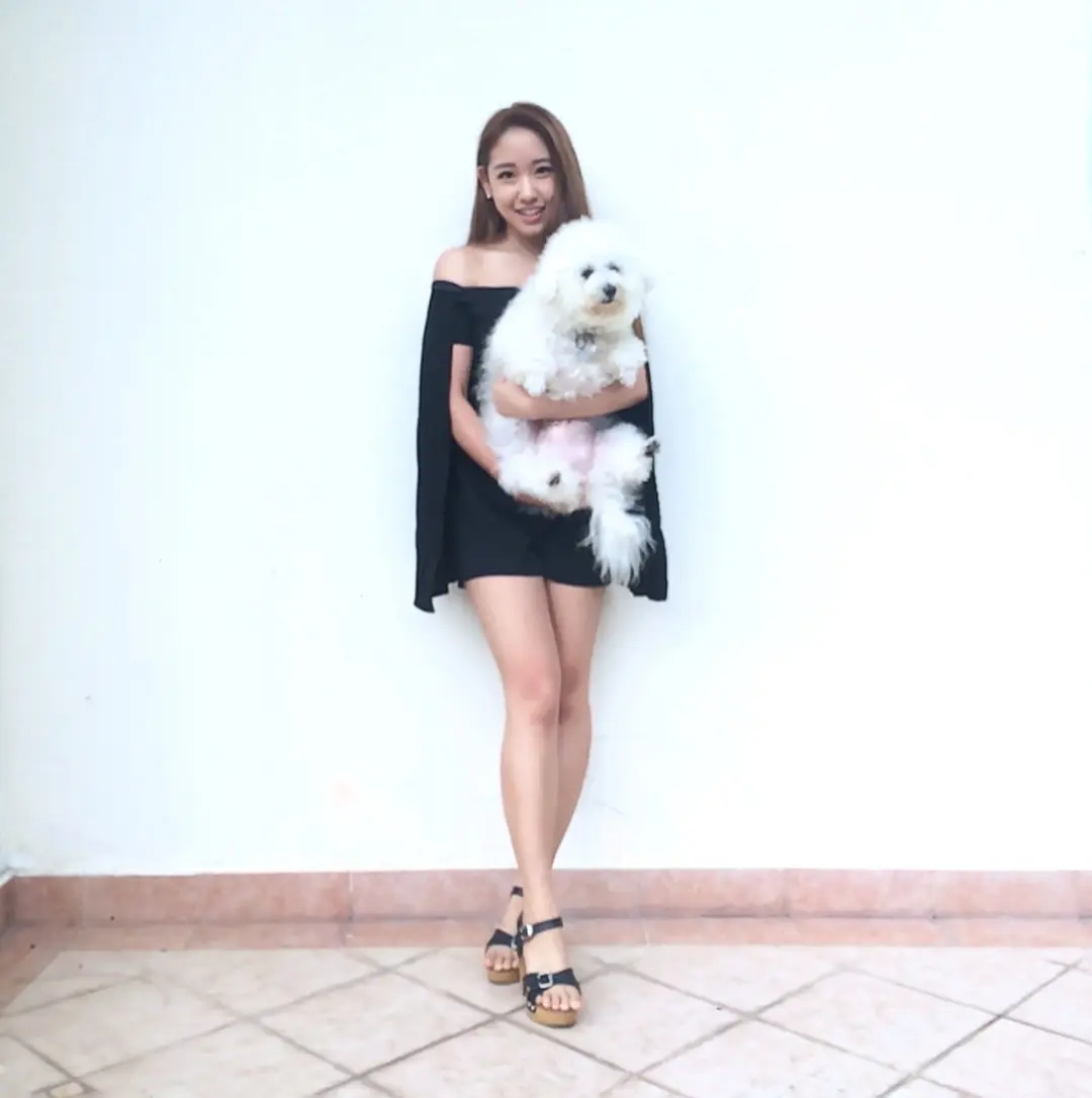 meermu-4b22c81305df52cd4.webp