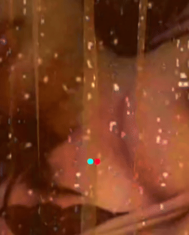 90a07e31-291b-4122-a91d-ffa04f67d621.gif