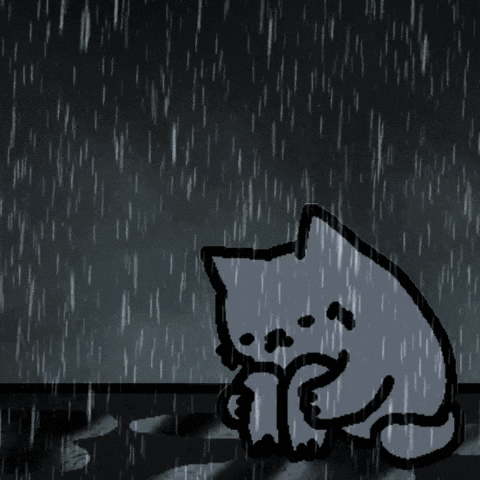 NubCatSillyCatGIF.gif