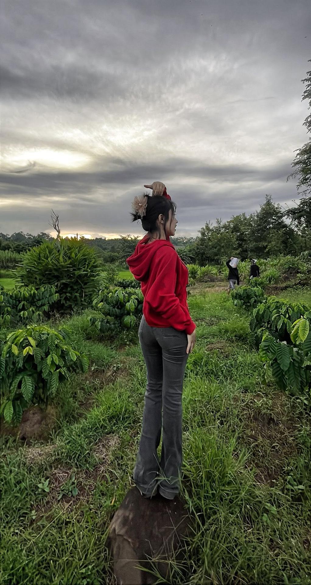 Không có mô tả ảnh.