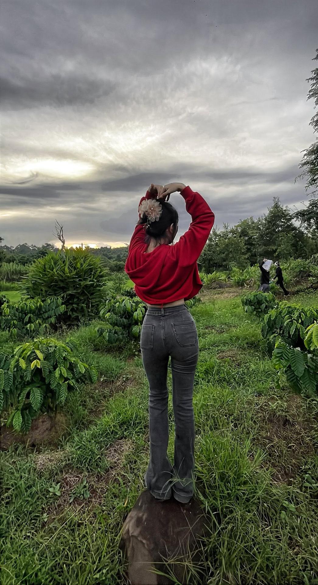 Không có mô tả ảnh.