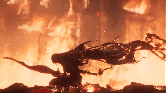 0d74d68f-28b0-4531-83b4-9a0c966eddaa.gif