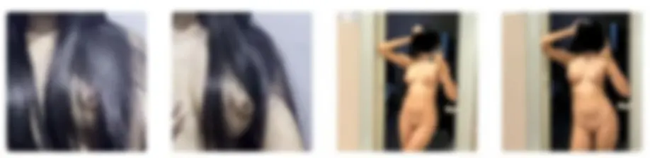 blur preview.webp