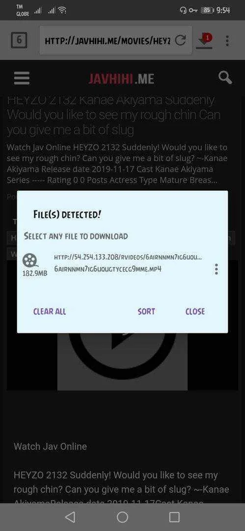 Screenshot_20191120_215405_idm.internet.download.manager.plus.webp