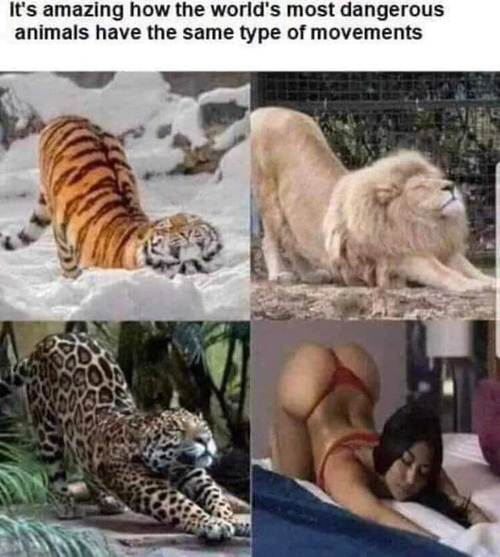 whoa