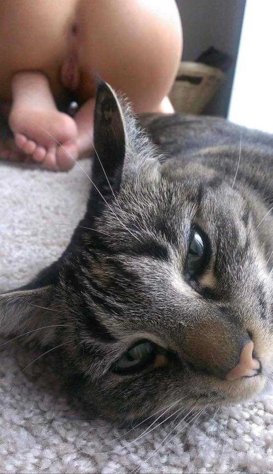 Ano magandang ipangalan sa Pusa nato ?