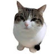 wawacat