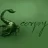 scorpy19