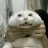 leetot