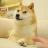 teddy_mr
