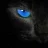 iamlookingatyou123