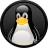 Black Penguin