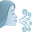 Wind face :wind_blowing_face: 🌬️