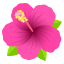 Hibiscus :hibiscus: 🌺