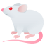 Mouse :mouse2: ๐