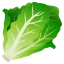 🥬