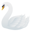 Swan :swan: 🦢