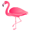 Flamingo :flamingo: 🦩