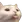 CatBlep :CatBlep: :CatBlep:
